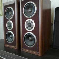 PIONEER S-55T