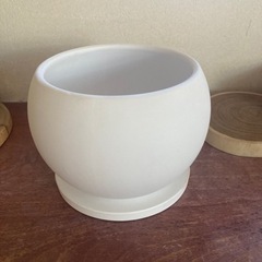 白鉢