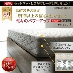 北海道地域発送 【送料込】【7月31日まで限定！】ニュアンスホワイト Ever X ゾーンコイルマットレス収納シングルベッド マットレスカラー: ブラック