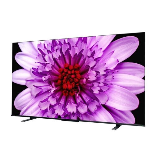 【店頭引き取り限定】東芝 レグザ 65インチ 4K HDR液晶テレビ 65M550K