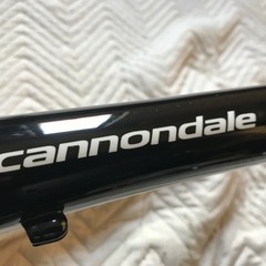 キャノンデールCAAD９　フレーム