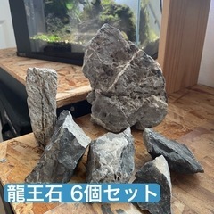 龍王石 6個セット 水槽 レイアウト アクアリウム