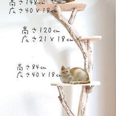 流木キャットタワー『森の上』高さ198㎝