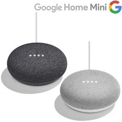 Google Nest MINI H2C 