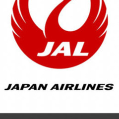 【ネット決済】JAL 航空券半額券