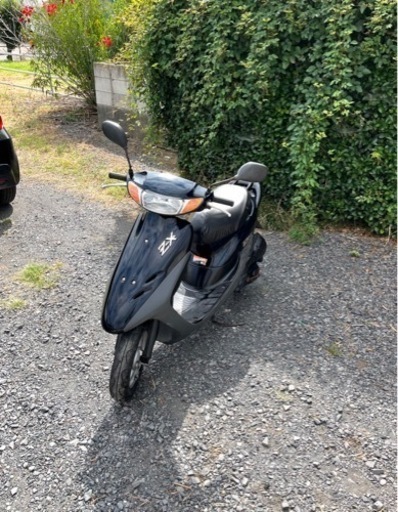 597.  動画あり　ホンダ　ライブディオZX仕様　原付　バイク　50cc   車体