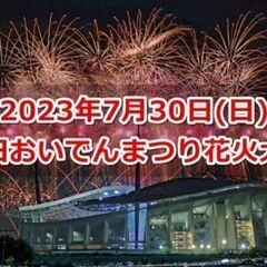 豊田おいでん花火