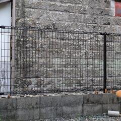 決まりました。早い者勝ち！！20枚で3万円(*^^*)早い引取の方に決めます！