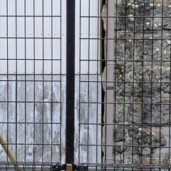 決まりました。早い者勝ち！！20枚で3万円(*^^*)早い引取の方に決めます！