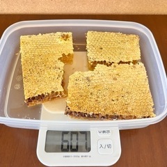 【ネット決済・配送可】日本ミツバチの巣みつ約607g 巣蜜