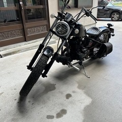 【ネット決済】ヘイスト　250cc