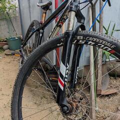 【配達可能】【期間限定値下げ】CANNONDALE trail 5【29inch】