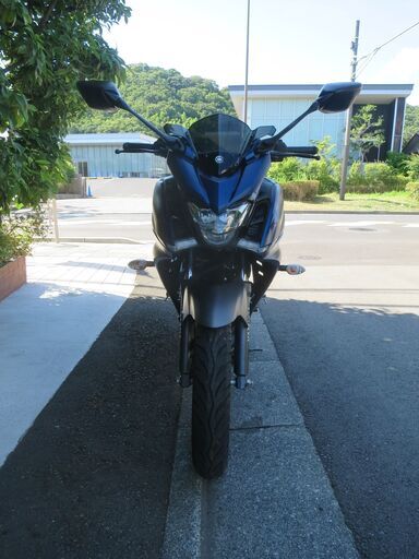 ヤマハ　FAZER25 (フェザー25）実働中古美車　バッテリーフル充電済　オイル交換後渡し　低走行車　ナンバー登録書類あり ヤマハ FAZER25 (フェザー25）実働中古美車 バッテリーフル充電済