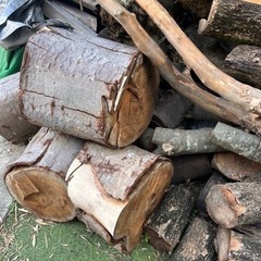 伐採木　薪　焚き火に最適です