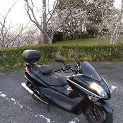 ヤマハ　マジェスティ　250cc