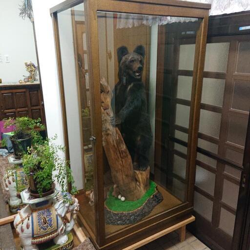 美品✨子熊クマの剥製  ケース高170×横88×奥71cm