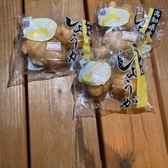 【３袋限定】土生姜（１袋80円）