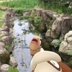 ポケモンGoウォーキングにお付き合いできるひと募集！