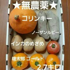 ★無農薬★コリンキー入り野菜セット