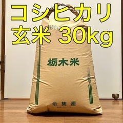 令和4年産 栃木県 那須塩原産 コシヒカリ 玄米30kg お米