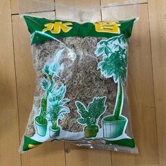 新品/水苔/国産/ビカクシダ/コウモリラン/145g