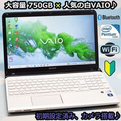 全国配送可♪ SONY 人気のVAIO 大容量 HDD 750G...