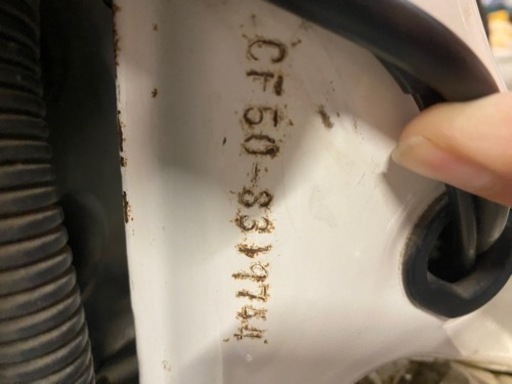 7.31本日限定‼️角目のシャリー50 ‼️ 25年前のシャリーを