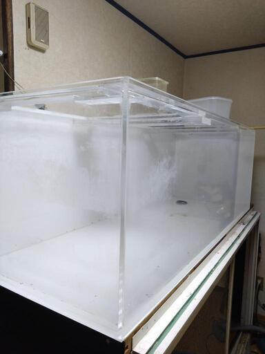 大型水槽