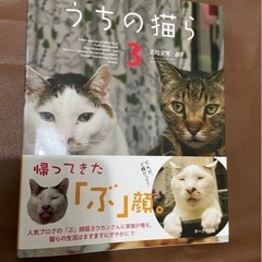 うちの猫ら 3  無料で差し上げます　本　ハガキ