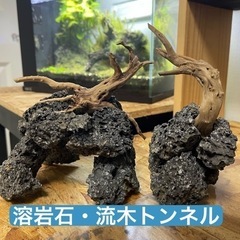 溶岩石・流木トンネル2個セット アクアリウム 水槽レイアウト