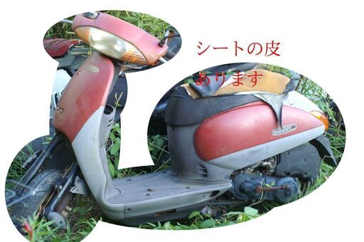 ホンダ タクト スタンドアップ 最終型 AF51 坂道楽々 各部整備後のお渡し可　　　　二種登録可 オイルは足すだけですが、煙は出ない最後の2スト