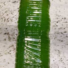 グリーンウォーター　2ℓ　ペットボトル