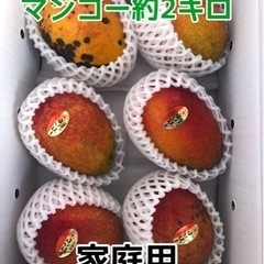 【説明分必読】家庭用マンゴー　約2キロ　4〜8玉