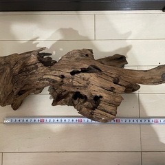 流木　大きめサイズ