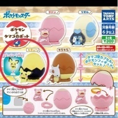 ポケモンのたまご　ピチュー　新品