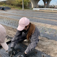 幸田町で農作業をする仲間募集