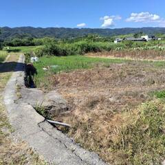 紀の川市東三谷の農地３００坪。農業従事者でなくとも購入でき…