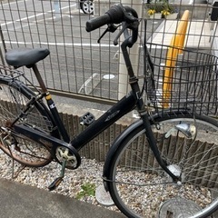 自転車(無料)