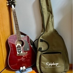 【再掲】エピフォン Epiphone pro-1 ultra WR