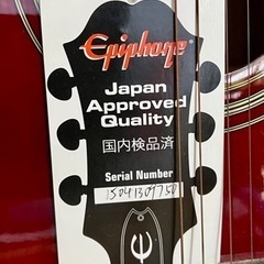 再掲】エピフォン Epiphone pro-1 ultra WR