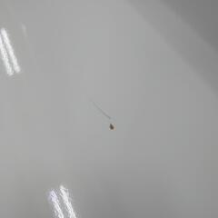 【ダイニングボード】ダイニングボード ニトリ NITORI キッチンボード 食器棚 カップボード レンジボード:ホワイト