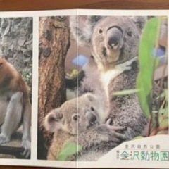 金沢動物園　チケット