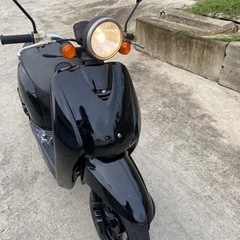 トゥデイ　50cc 原付　バイク　スクーター