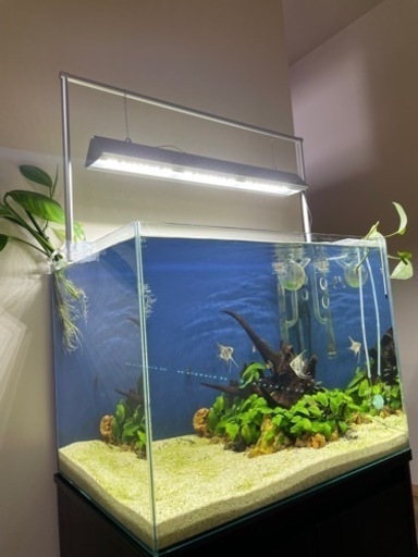 アクアリウム用品