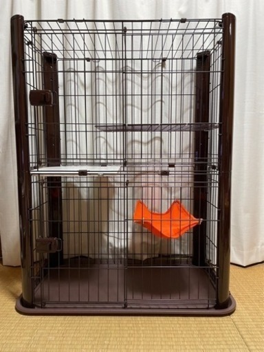 猫用ゲージ