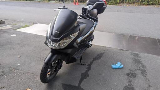消耗品交換済み】pcx125 jf56 前後タイヤ新品 ベルト交換済み 【楽天