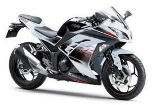 ニンジャ限定2014