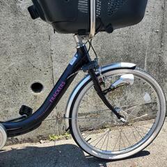 B101 FRACKERS★幼児2人同乗基準適合自転車★内装3速