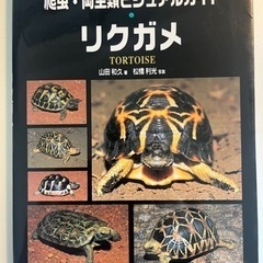 リクガメ　爬虫両生類ビジュアルガイド 山田和久著　松橋利光写真