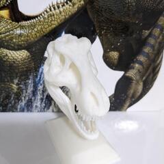 T-rex 恐竜の頭　3Dプリント品